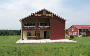 image-44
