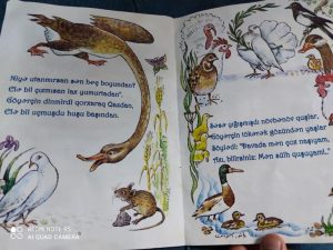 busaat 12f4778eba66dd1a6a538c617ba79761 swx8ft97h5eyq3vbgij6