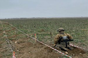 busaat 06c9f2b206a86ef1a9e356cf4bd5e847 qzcsv6gnrfko3p0eyl2w