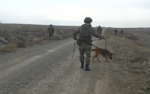 busaat 24383168080c9b53cb48f747d50ba601 fiak7x5zut2be1rom43w