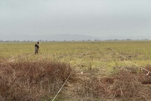 busaat 7cfb968446de95599192b3730e25ae9f 7pi802q34cle1msyu56v