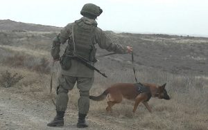 busaat ff0f909b9aef220c3942c754c3b1b53b igqc07hv2s4k1aybrjtp