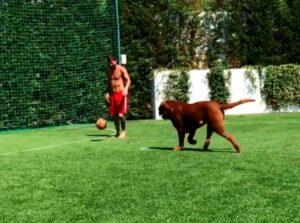 image-6f76322655be4b939481d8b004d10c8e