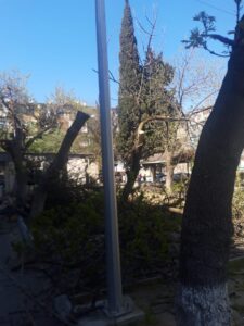 image-2-1