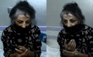 image-222647_beizebnbv2