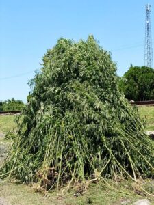 image-img-20210618-wa0035