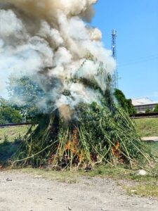 image-img-20210618-wa0036