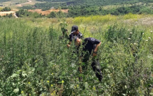 image-img-20210618-wa0054