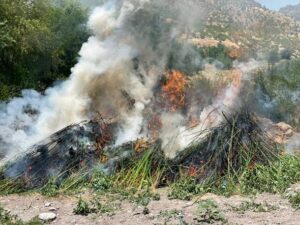 image-img-20210618-wa0076