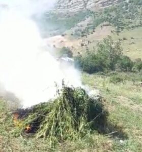 image-screenshot_20210618-183021_whatsapp