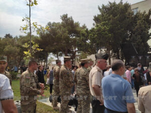 image-polad3