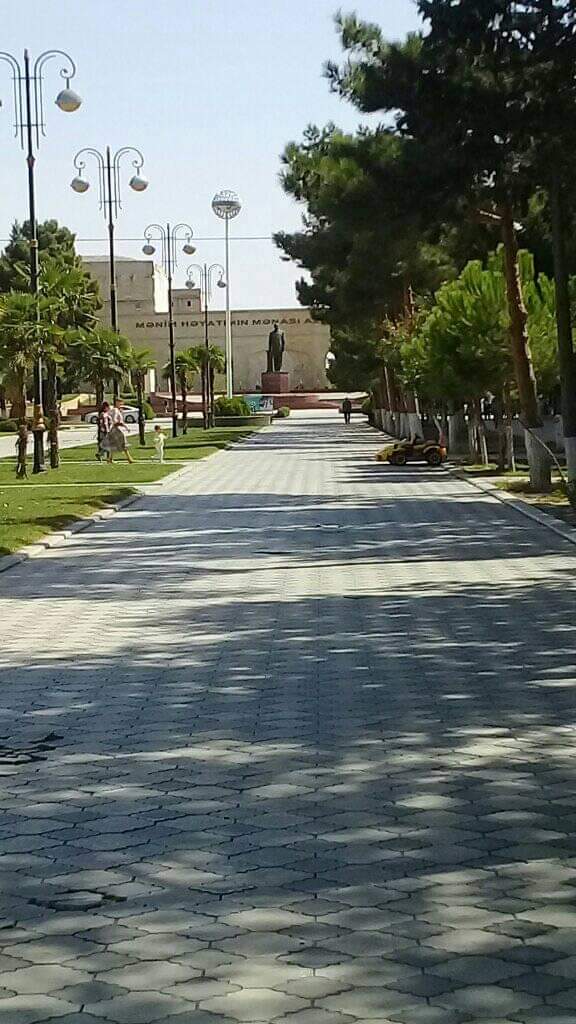 Sahibsiz küçə itləri Şirvan İH ərazisində niyə toplanır? - FOTO/VİDEO 11 image-1
