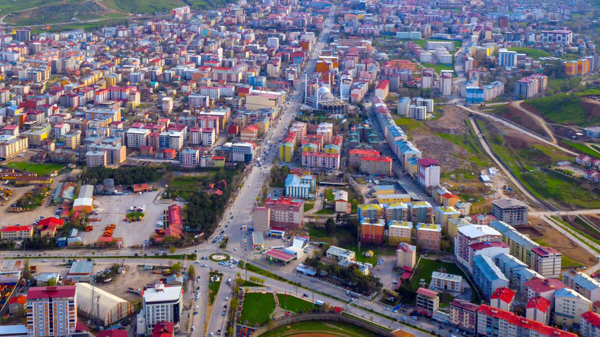 image-mus-482
