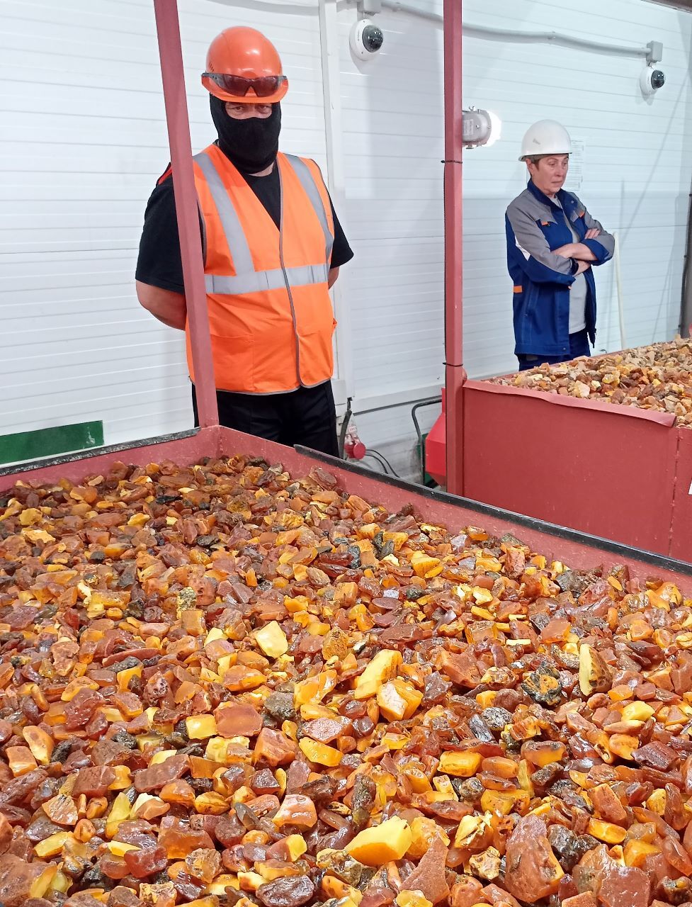 image-a7ca0a26-0b58-4c6a-9c24-98cbcb65e4da_3