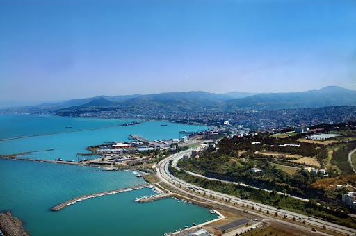 image-t4