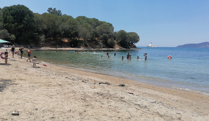 image-img-20250428-wa0011