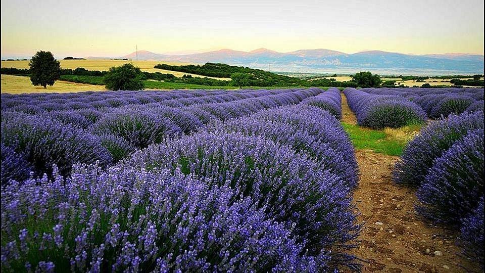 image-img-20250428-wa0012