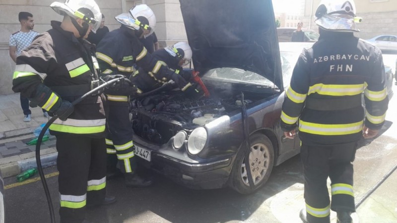 image-12jpg-1747491712