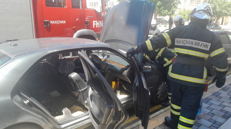 image-13jpg-1747491716