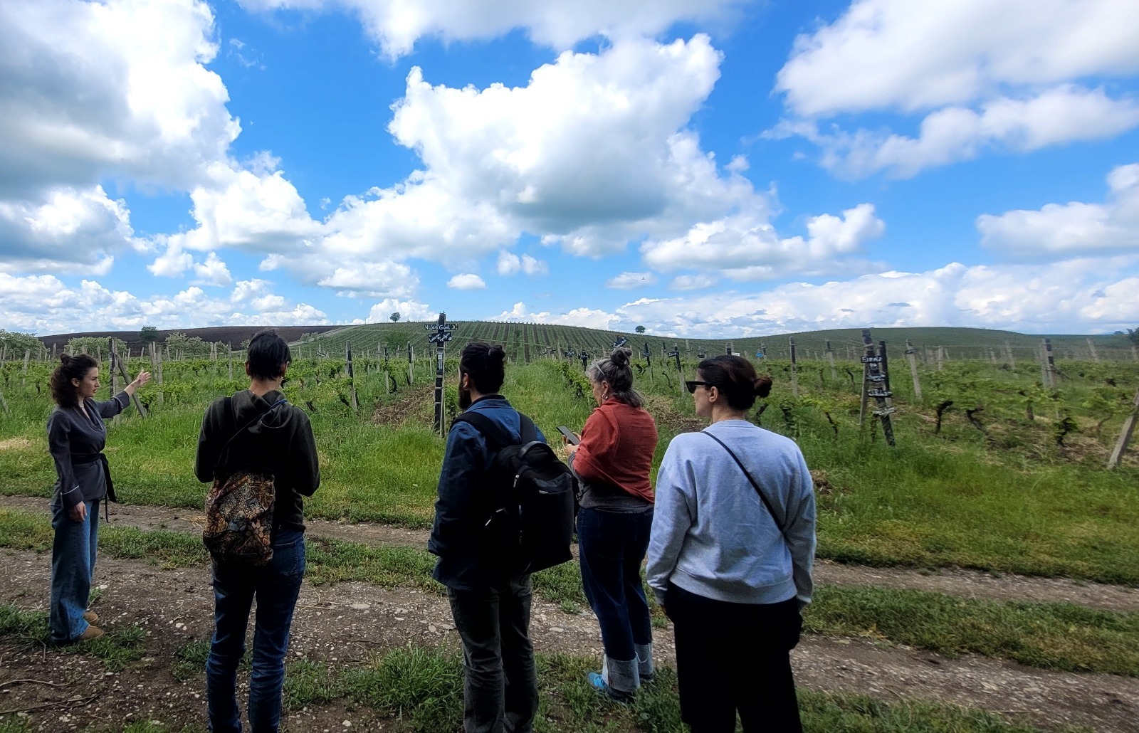 image-3abd25b7-26ee-41a0-a23d-a66f1fa158a2