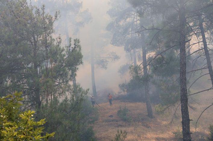 image-6c7e1e12-aeb6-3bd4-ba29-d723a5c6b614