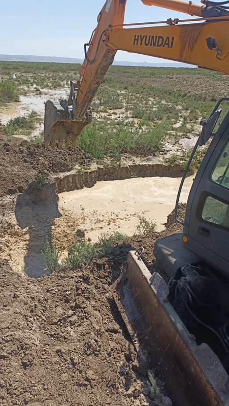 image-snsdv8l0pnqcppfbj1j7ph8nk61ymuzdjuaeiglz_1200