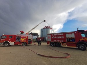 image-b42d7a72-d2b7-3f09-afa4-72ef8ead052d_300